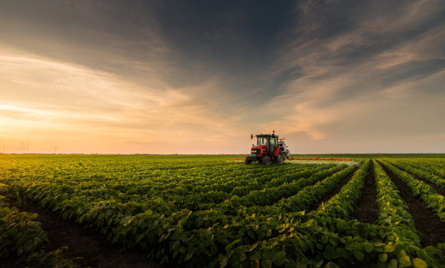 Como o investidor pode se beneficiar do Superciclo de Commodities?